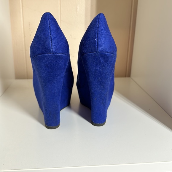 Brash wedges - Picture 3 of 4